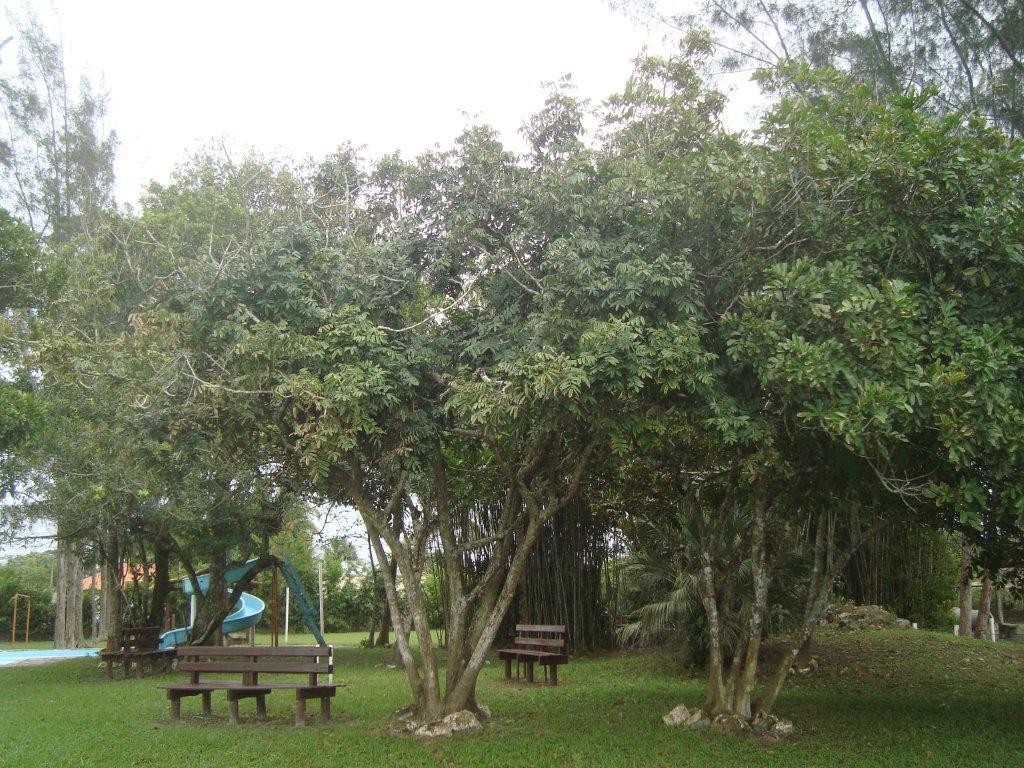 Sambura Chales Ilha Comprida Buitenkant foto